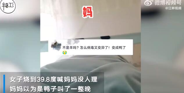 女子高燒喊媽 媽媽以為鴨子叫沒搭理
