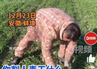 男子偷割他人麥苗喂羊 經(jīng)民警批評(píng)教育男子認(rèn)識(shí)到其錯(cuò)誤行為