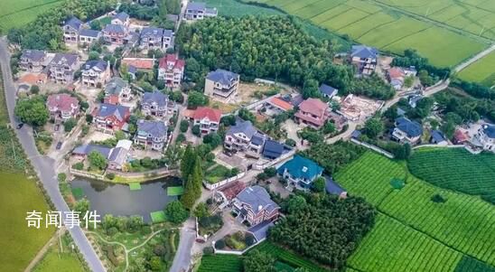 推進鄉村振興 加快建設農業強國