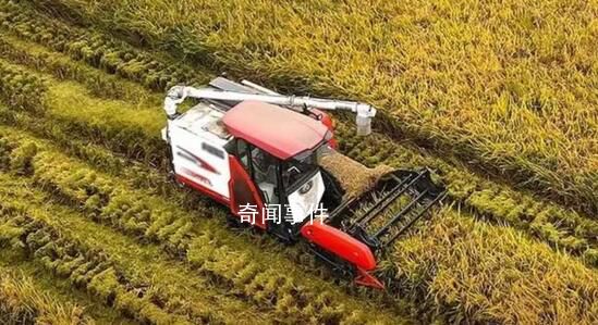 錨定建設農業強國目標 切實抓好農業農村工作