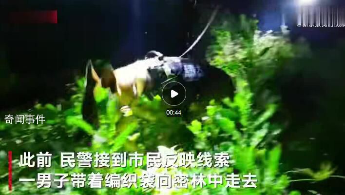 全程實拍警犬找到2.5公斤冰毒 一路引導民警5小時后停在窩棚吠叫