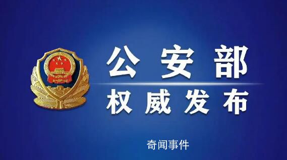 公安部:嚴厲打擊敵對勢力滲透破壞