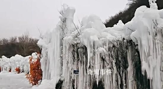 陽康游客心衰死亡6人?河北景區回應