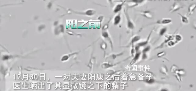 夫妻陽康后著急備孕遭勸阻 網友表示：等一段時間再說