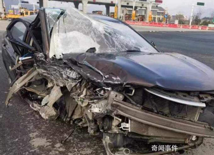 老伯“陽過”后高速逆行撞廢新車 目前已按程序處理