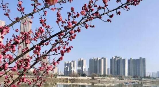 春山可望 未來(lái)可期