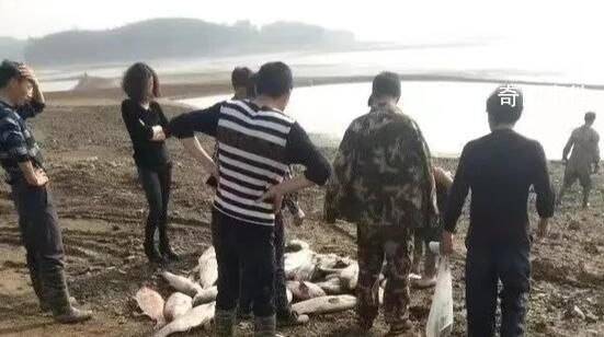 富翁回鄉投資遭羈押無罪釋放后病故 陳振武個人資料介紹