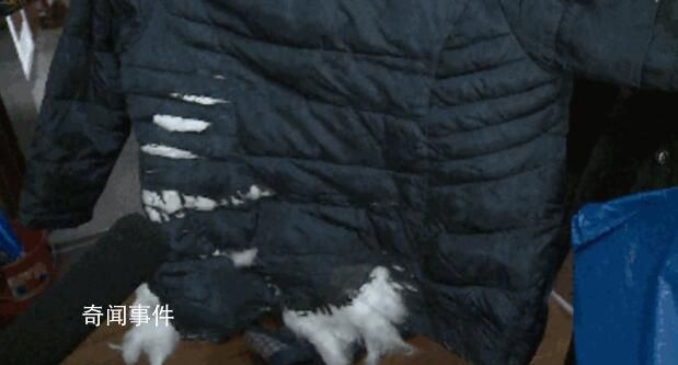 乘客羽絨服炸裂絨毛飄滿地鐵車廂 網友感嘆：看來是真羽絨