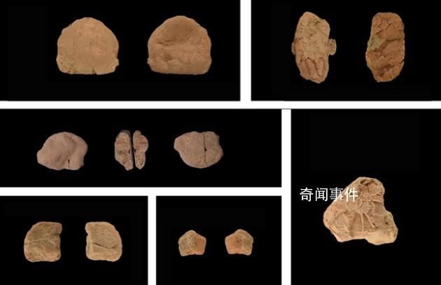 山東發現距今1.32萬年人類遺址 出土1000余件早期人類遺物