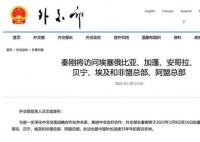 中國(guó)外長(zhǎng)新年首訪 恰逢重要節(jié)點(diǎn)