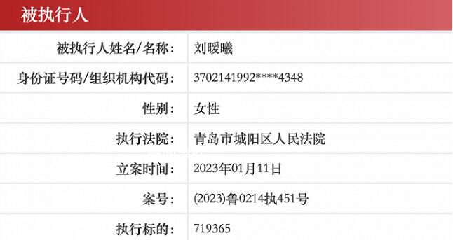 劉鑫已成被執行人 目前通過審核已經立案