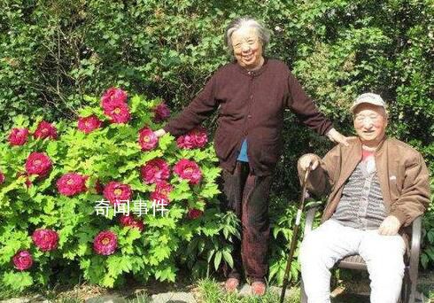 陳佩斯母親感染新冠去世 享年91歲