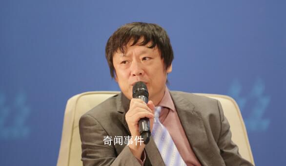 胡錫進:向非公企業派駐書記需審慎