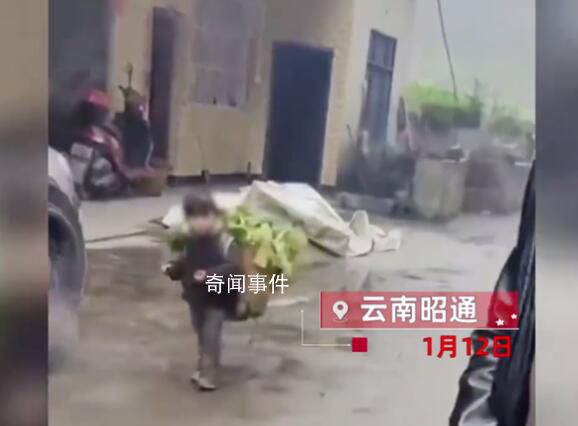 “背菜女孩”家人:1年賺20萬,不窮