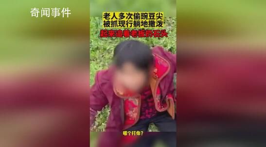 老人多次偷豌豆尖被抓現行躺地撒潑 村書記：會做好村民的思想工作
