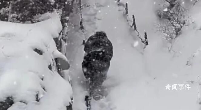 男子40厘米積雪中邊鏟雪邊爬華山 期間自己摔了很多跤