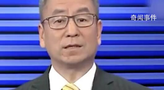 白巖松評(píng)鞭炮禁與放:是盼望年味回歸