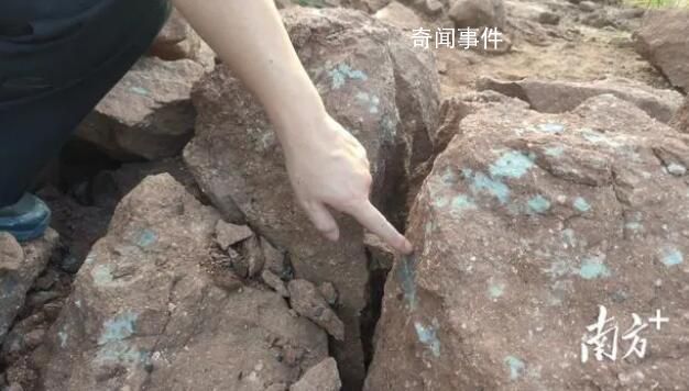 男子散步時意外發現恐龍蛋化石 已將化石運回河源恐龍研究所修復工場