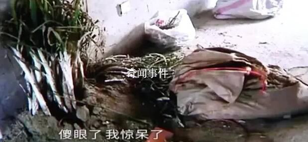 男子新房未入住被鄰居種大蔥 鄰居道歉張先生選擇了原諒