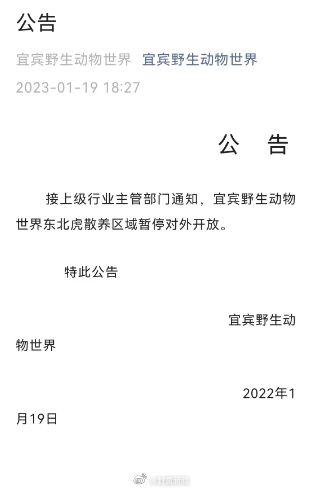 動(dòng)物園老虎被3只獅子圍攻撕咬 初步了解系動(dòng)物越界
