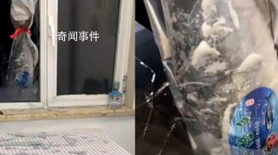 男子家深夜被飛魚破窗而入砸碎玻璃 網友：歲歲平安年年有余