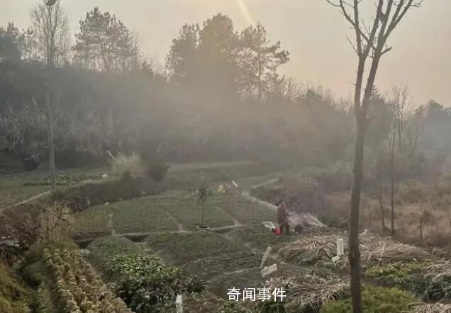 山中抱團養(yǎng)老十年:曾是同事兼獵友
