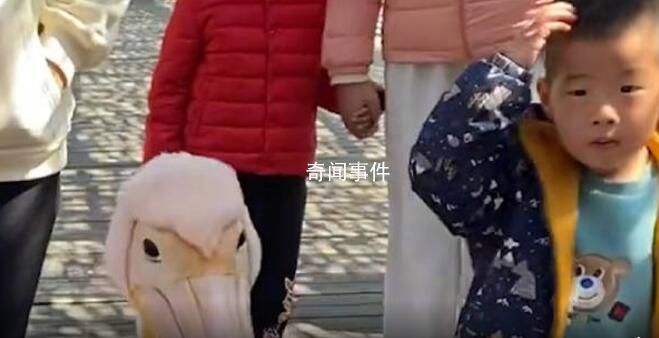 男孩逛景區遇現實版“鵜鶘灌頂” 目擊者：孩子有點懵但也沒哭