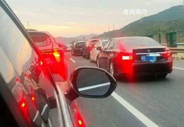 堵車男子在高速上與公雞打架 網友：有人被年貨打了