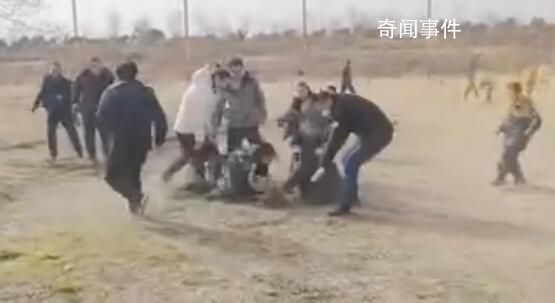 景區設免費抓雞活動 抓到可帶走