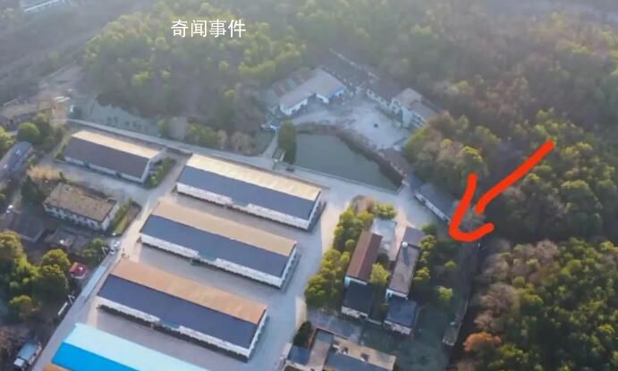 胡鑫宇母親:多人曾進糧庫尋找過