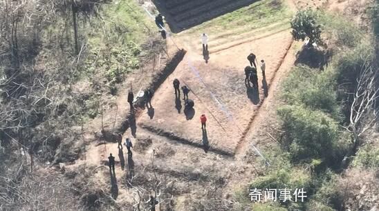什么是“縊吊”?通過尸檢能否進一步揭開真相