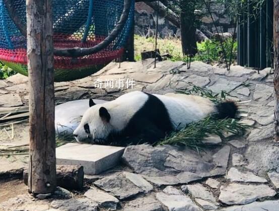今天怎么才是周一 大家有節(jié)后綜合癥嗎？