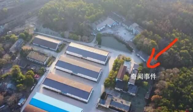 官方回應(yīng)發(fā)現(xiàn)胡鑫宇通報(bào)只寫金雞山 為何通報(bào)中地點(diǎn)不寫詳實(shí)?