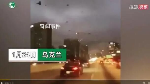 基輔上空出現成片烏鴉景象?假的