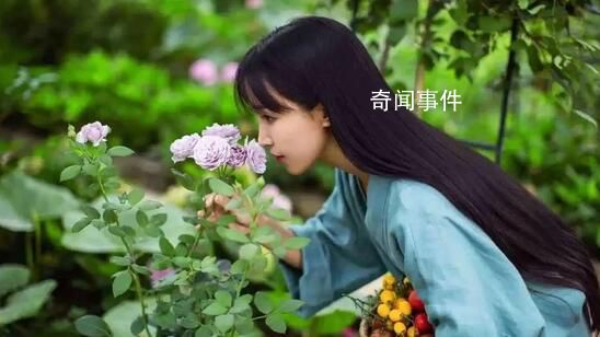 微念退出李子柒公司 雙方均保持沉默