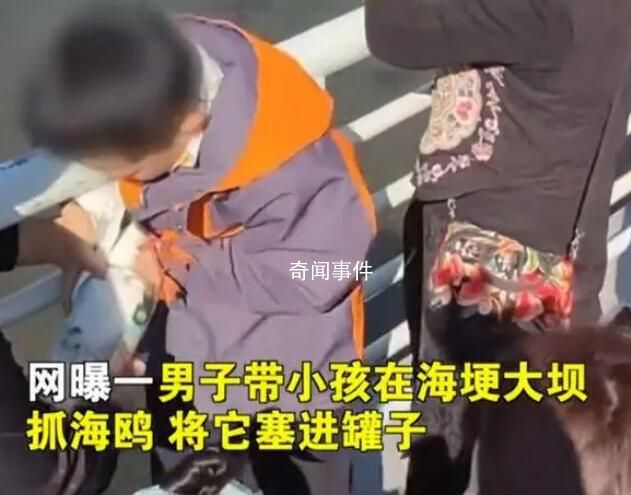 家長帶男孩抓海鷗硬生生塞進罐子 視頻中還有一女子讓孩子抓翅膀