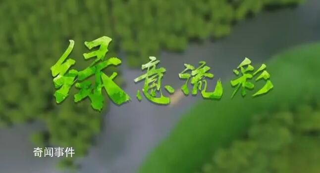 綠意流彩 2月2日是第27個世界濕地日