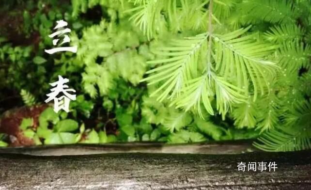 立春為什么要“咬春” 立春時間2023年幾點幾分