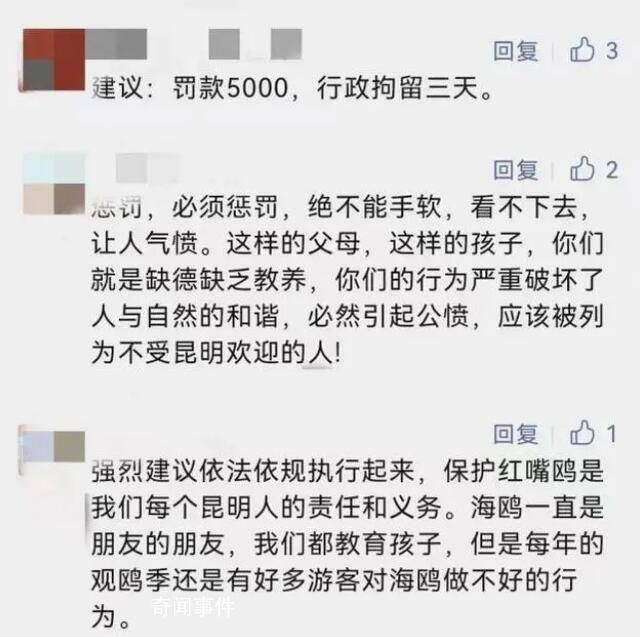 男孩抓海鷗塞瓶子 監護人被罰兩千