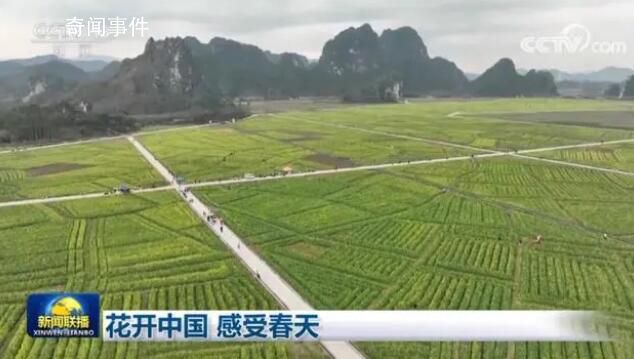 花開中國 感受春天