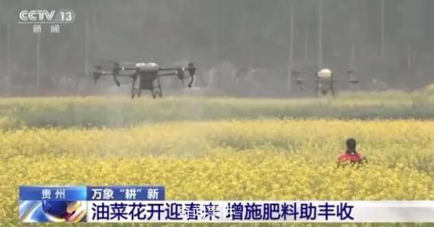 全國(guó)備春耕從南到北陸續(xù)展開萬 物復(fù)蘇種子發(fā)芽