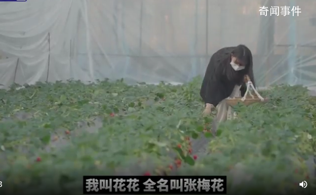 白血病女孩堅持賣草莓13年 種植草莓成為她唯一的收入來源
