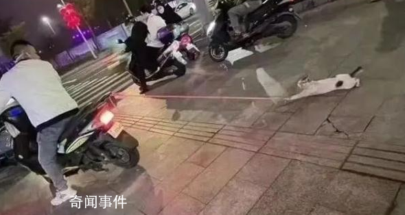騎車拖行小貓致死當事人公開道歉 深感痛心懇請原諒