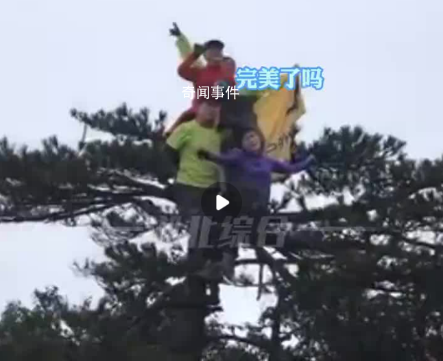 大爺大媽景區(qū)爬松樹站樹頂拍照 還不停詢問完美了嗎