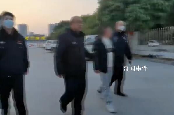 男子侮辱交警后辯稱自己沒文化 被公安機關依法予以行政拘留十五日
