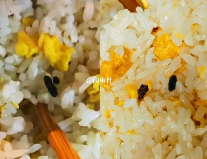 餐館吃出老鼠屎?老板稱飯粒炒焦了