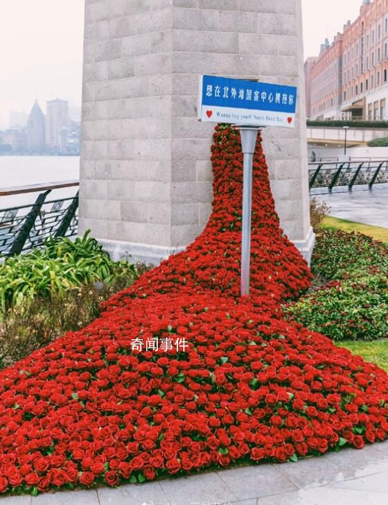 杭州地鐵口驚現玫瑰瀑布 網友：杭州是懂浪漫的