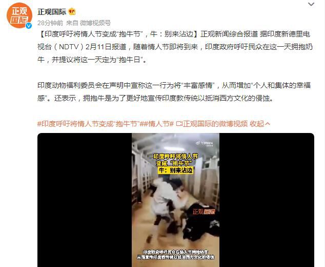 印度呼吁將情人節(jié)變成“抱牛節(jié)” 印度政府呼吁民眾在這一天擁抱奶牛