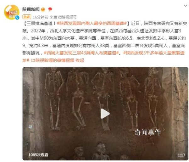 陜西現(xiàn)聚落遺址 西周墓葬有43個殉人