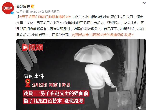 男子凌晨在貓咖門(mén)前投毒 已報(bào)警處理